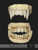dentiera da zombie