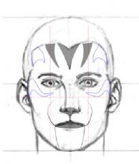 Gatto_HowTo3
