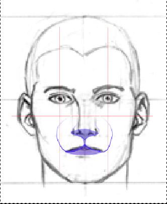 Gatto_HowTo1