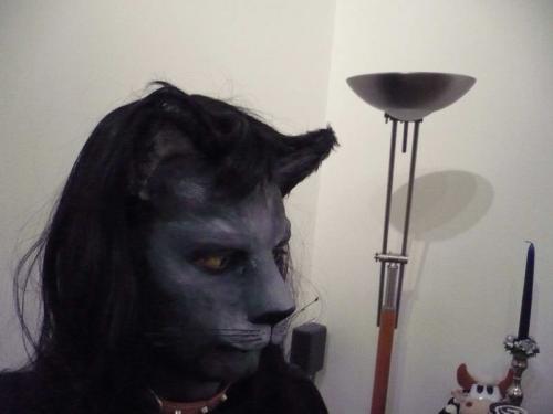 gatto2